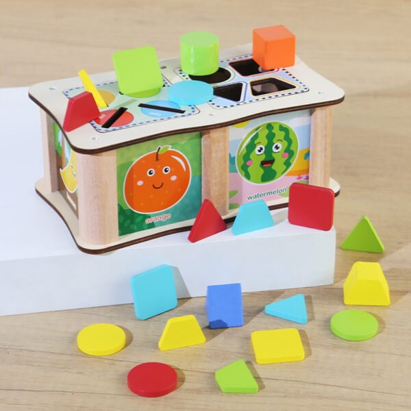 Shape and Color Classification Box